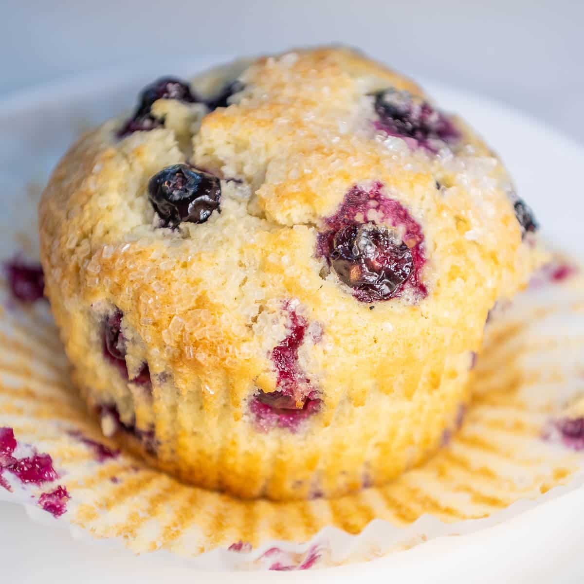 Closeup of sourdough discard blueberry muffin with it's wrapper pulled down.