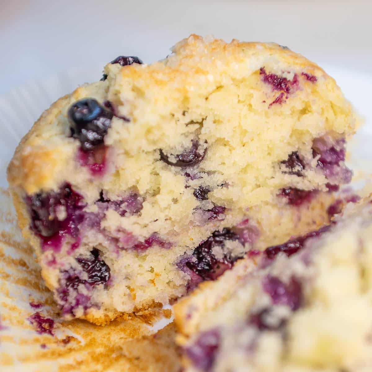 closeup of blueberry sourdough muffin cut in half
