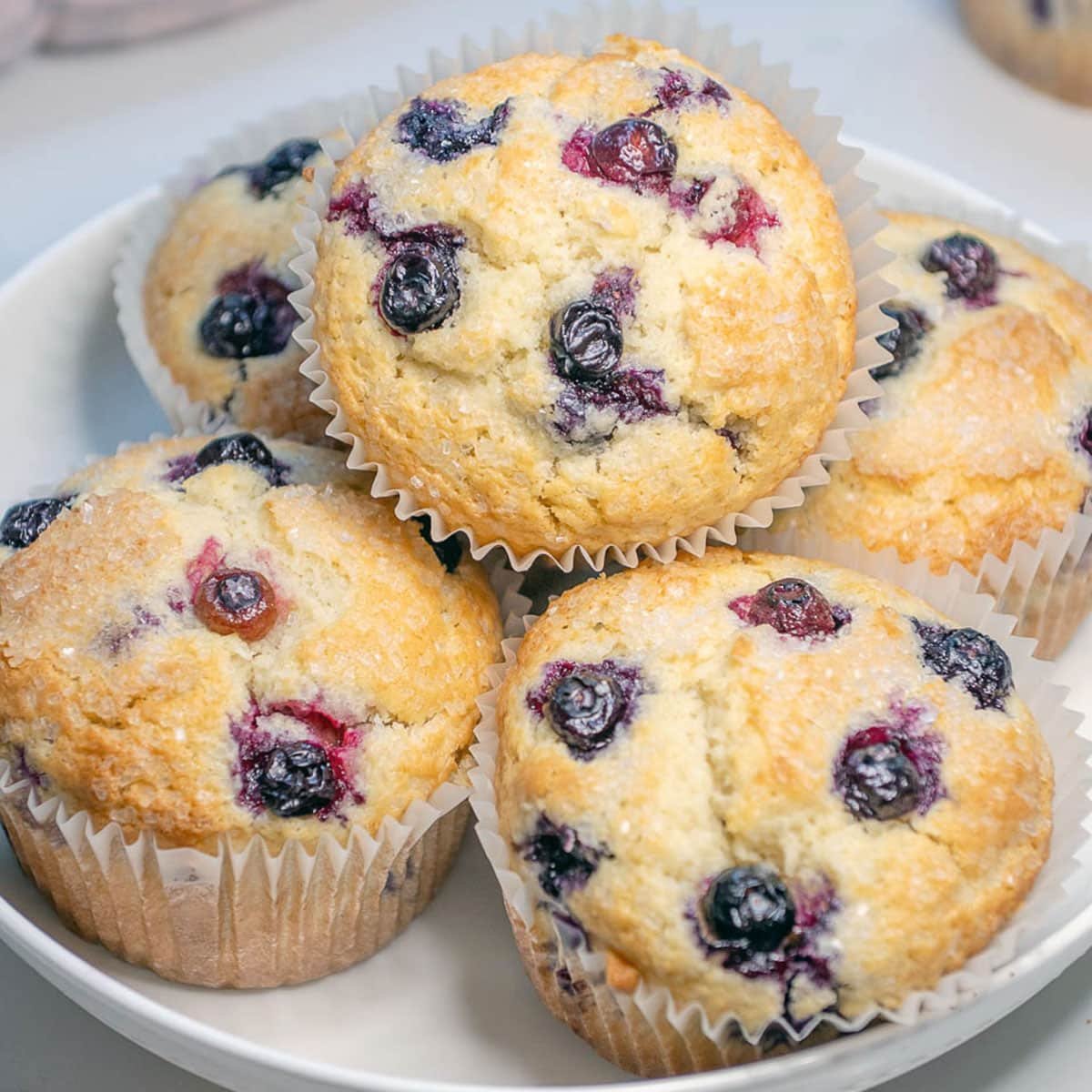 Sourdough discard blueberry muffins on a white plate. 