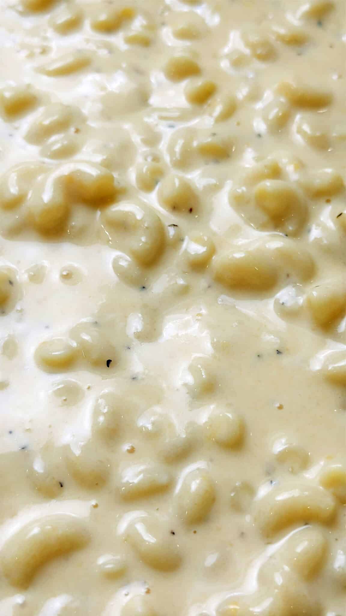 close up of creamy mac and cheese