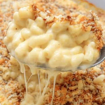 close up of creamy mac and cheese on a serving spoon