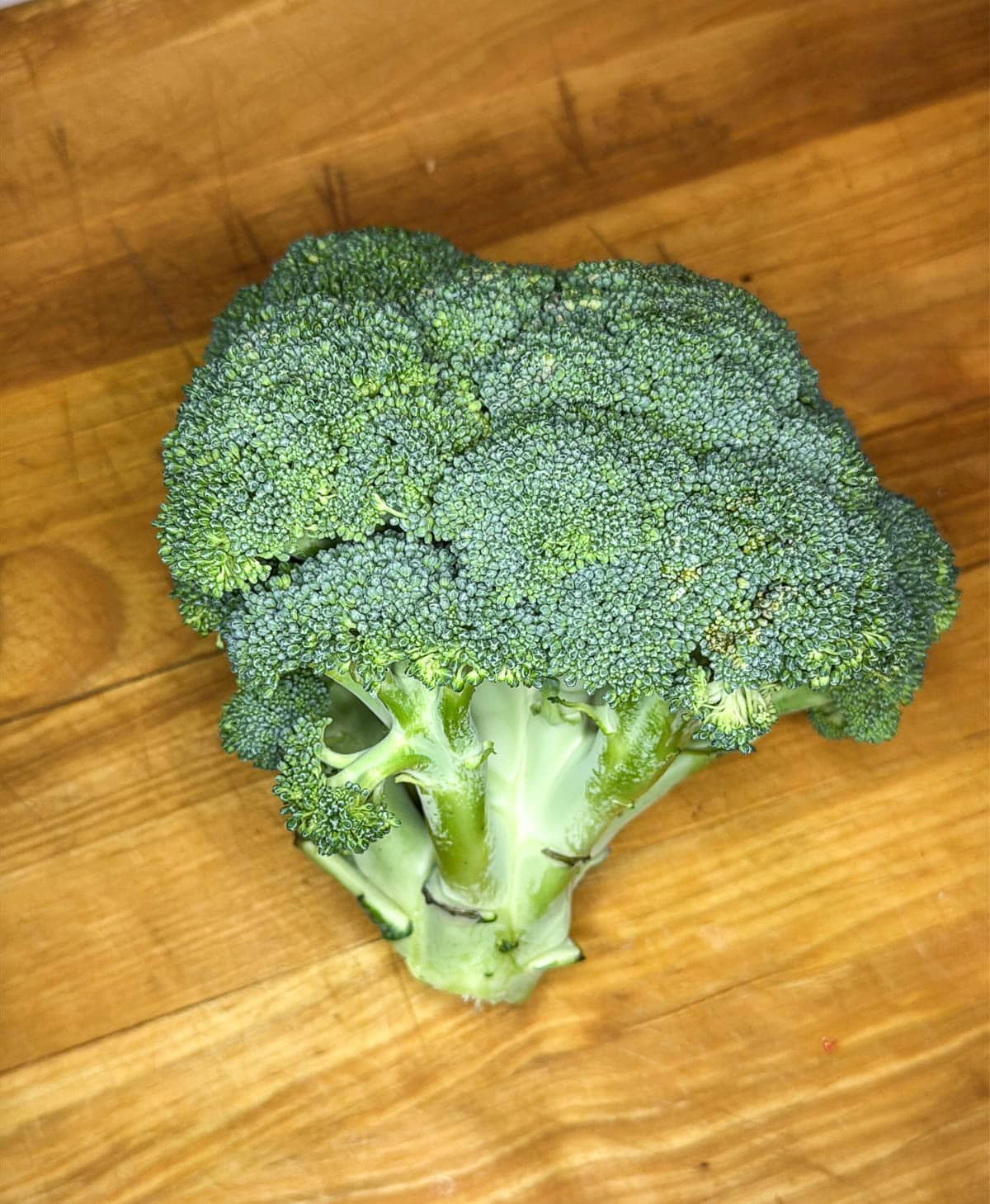 One head of broccoli.