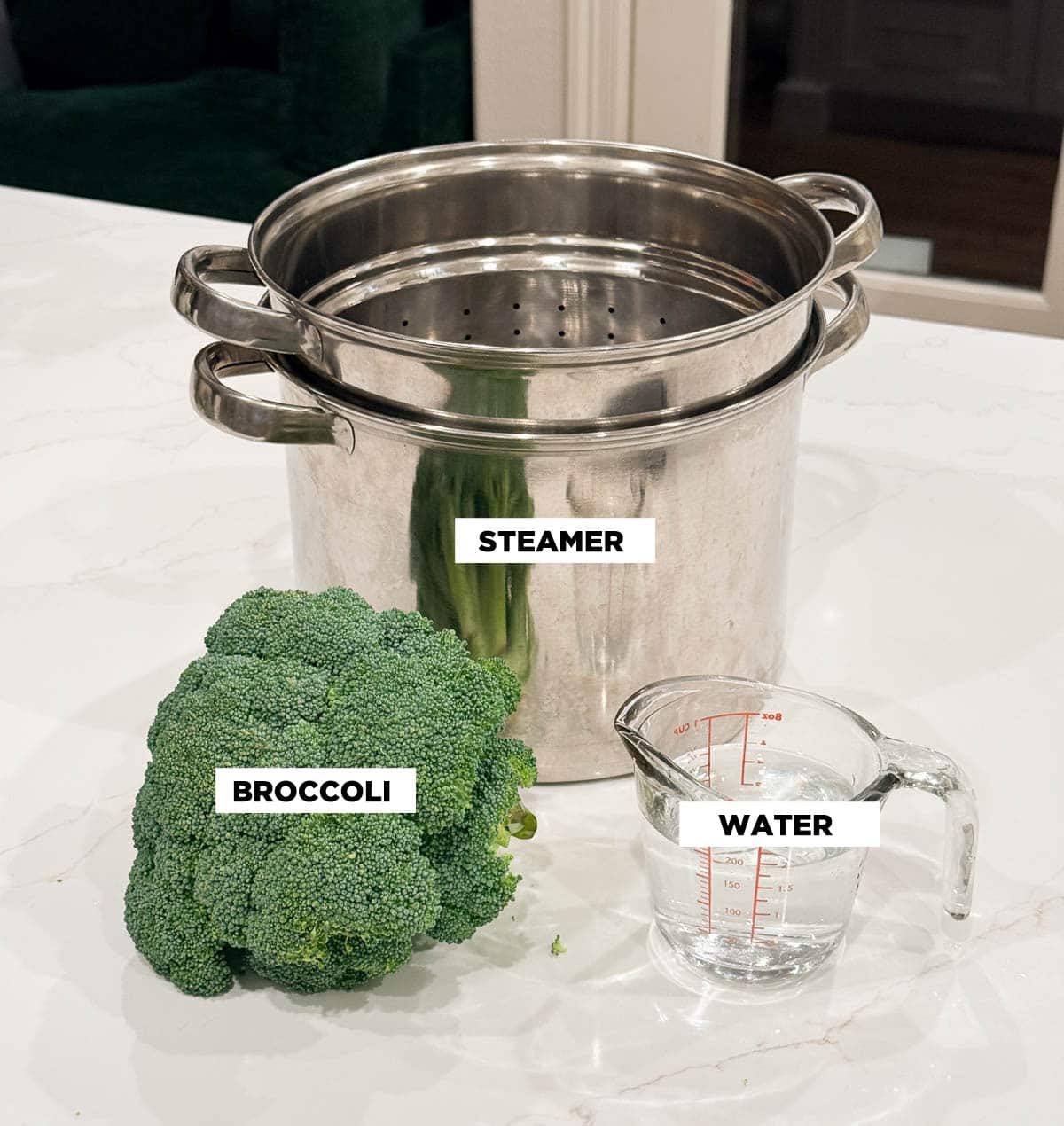 Ingredient shot for how to steam broccoli, featuring: a steamer, broccoli, and water.