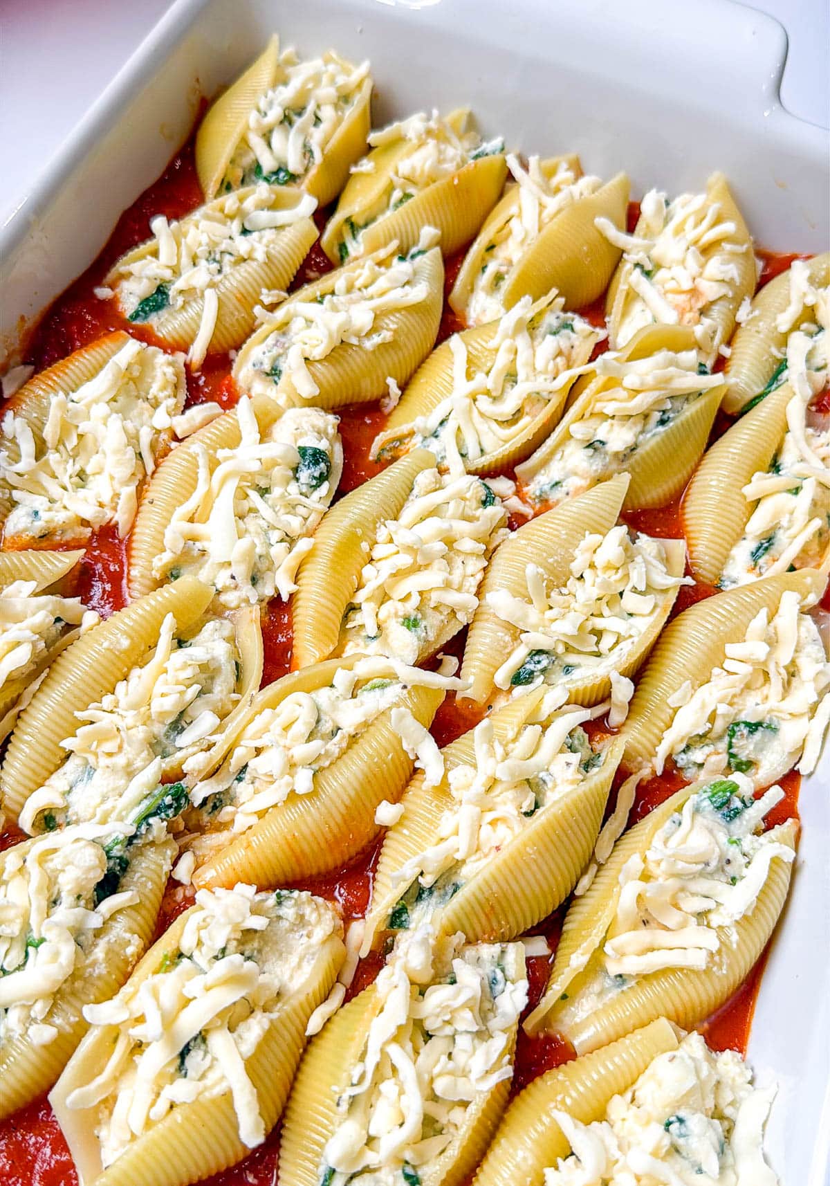 Stuffed shells topped with shredded mozzarella cheese.