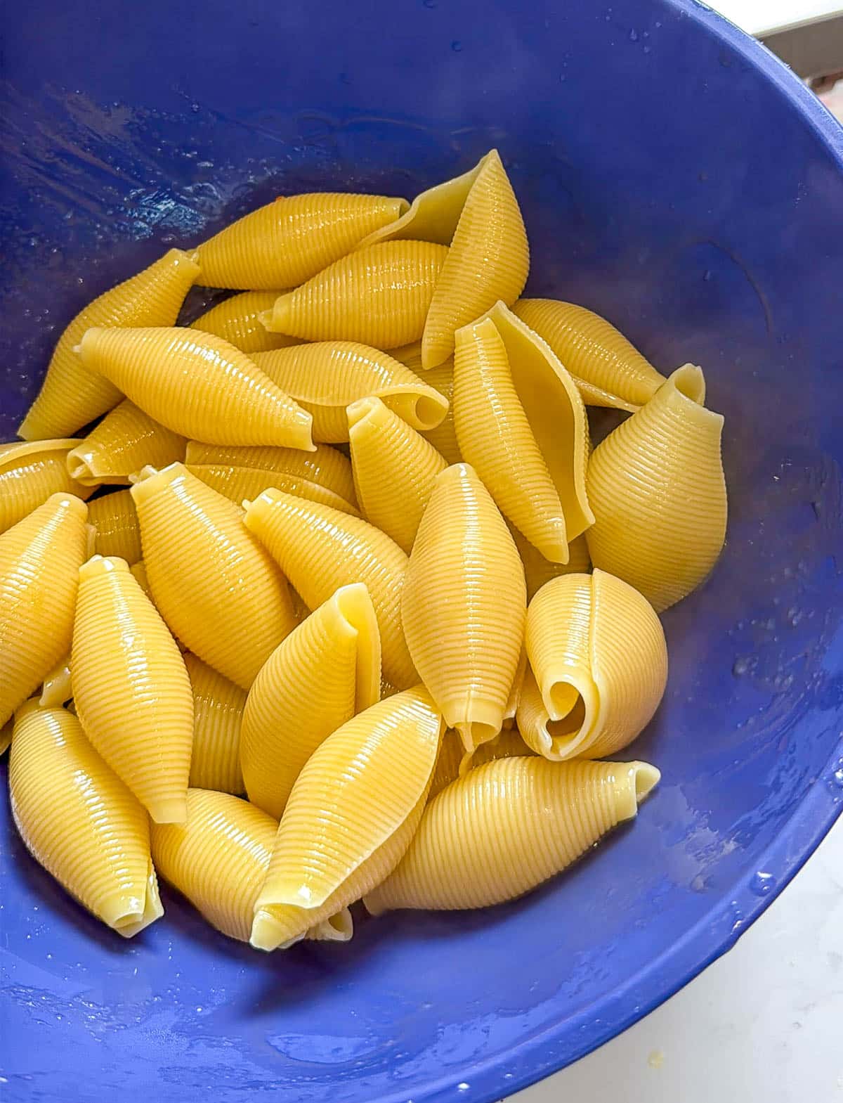 Jumbo pasta shells cooked and drained.