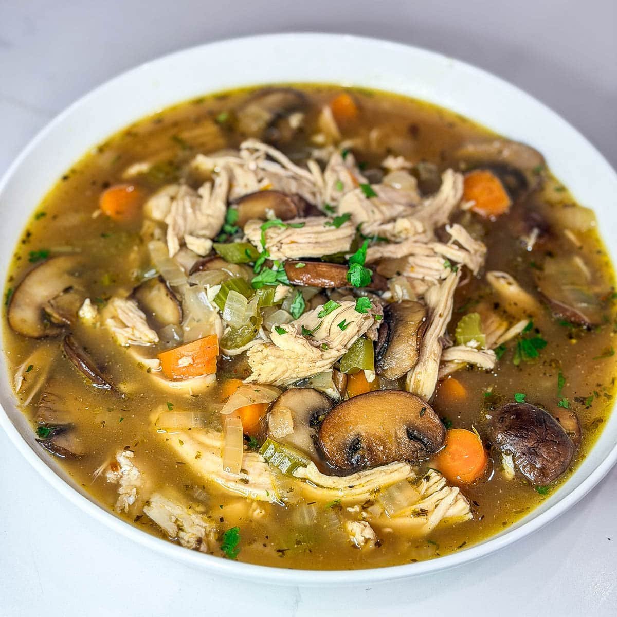 close up of turkey noodle soup