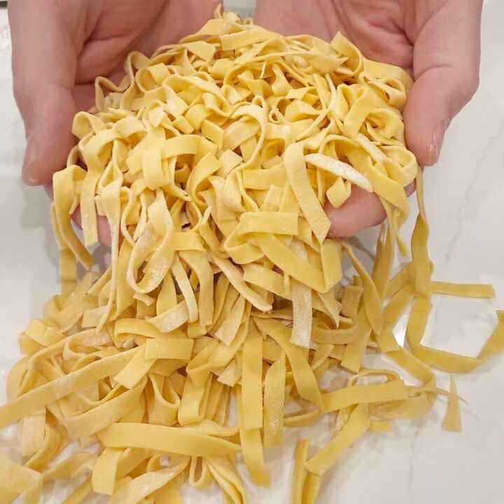 close up of fresh pasta held in two hands