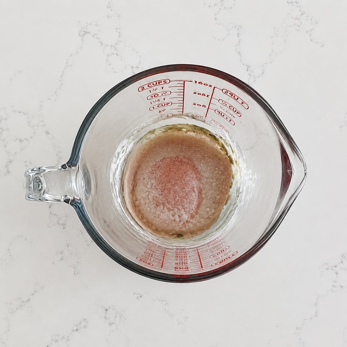 Moldy sourdough starter