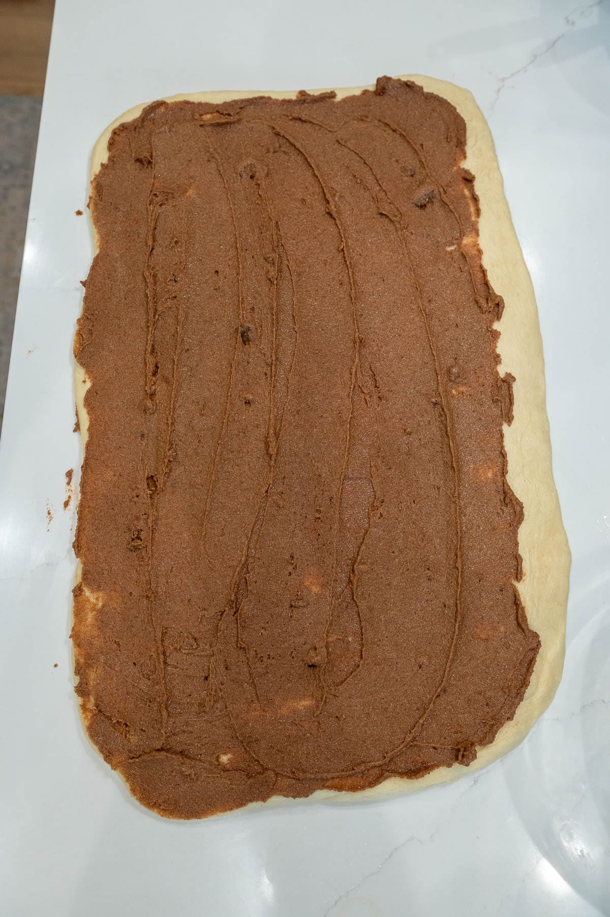 Sourdough cinnamon roll dough covered in cinnamon sugar filling on the countertop.