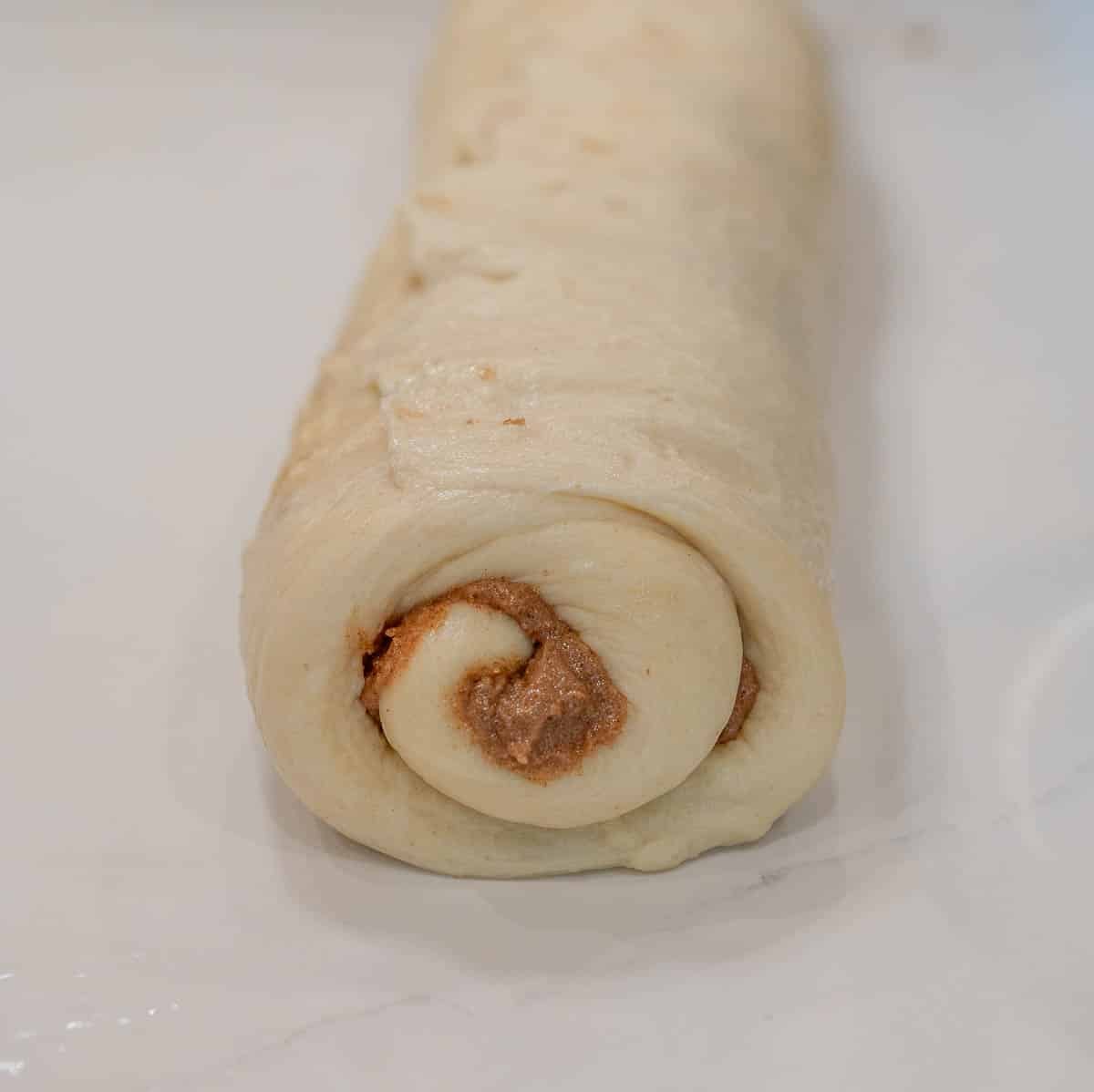 Sourdough cinnamon roll dough rolled up into a spiral log.