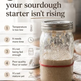 sourdough starter not rising pin