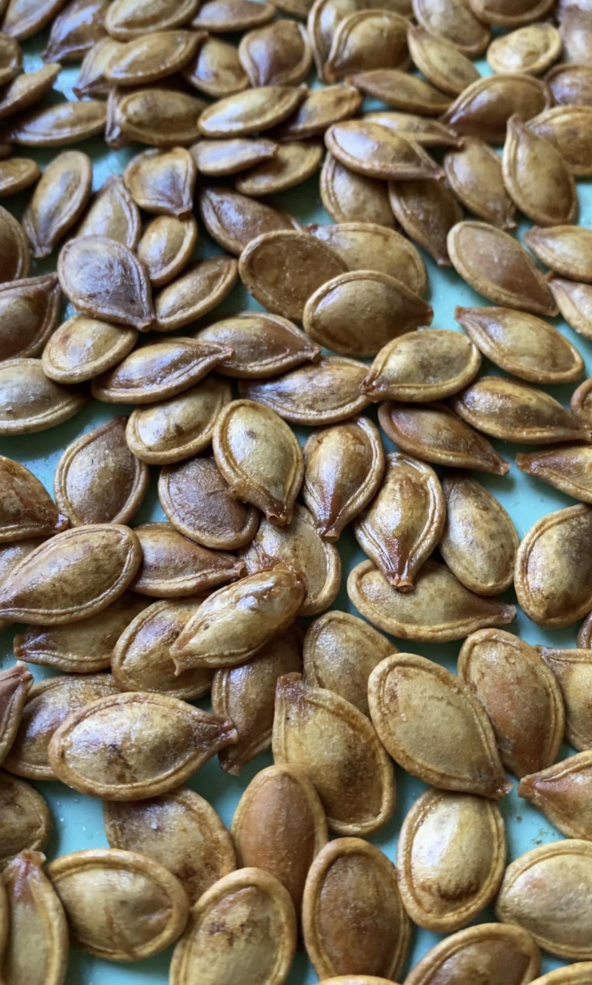 Close up of roasted pumpkin seeds after boiling