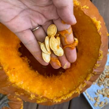 Close up of a hand holding pumpkin seeds above a carved pumpkin.