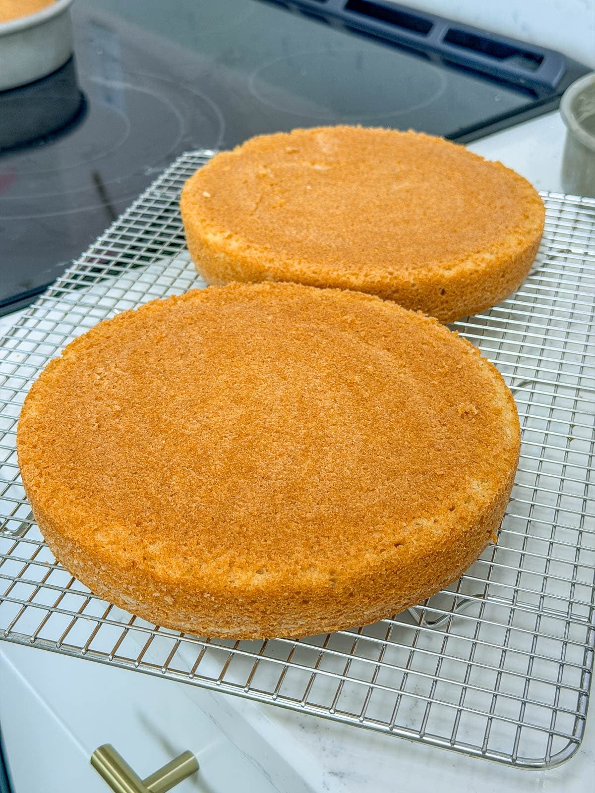 Pink champagne cake layers on a cooling rack